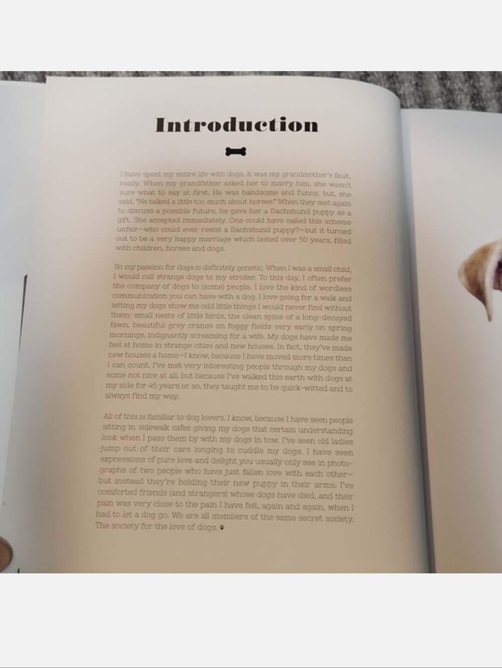 For The Love Of Dogs Book by Katharina von der Leyen - Picture 7 of 17